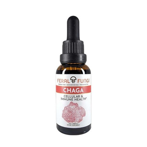 Chaga Spagyric Tincture 1 Oz by Feral Fungi